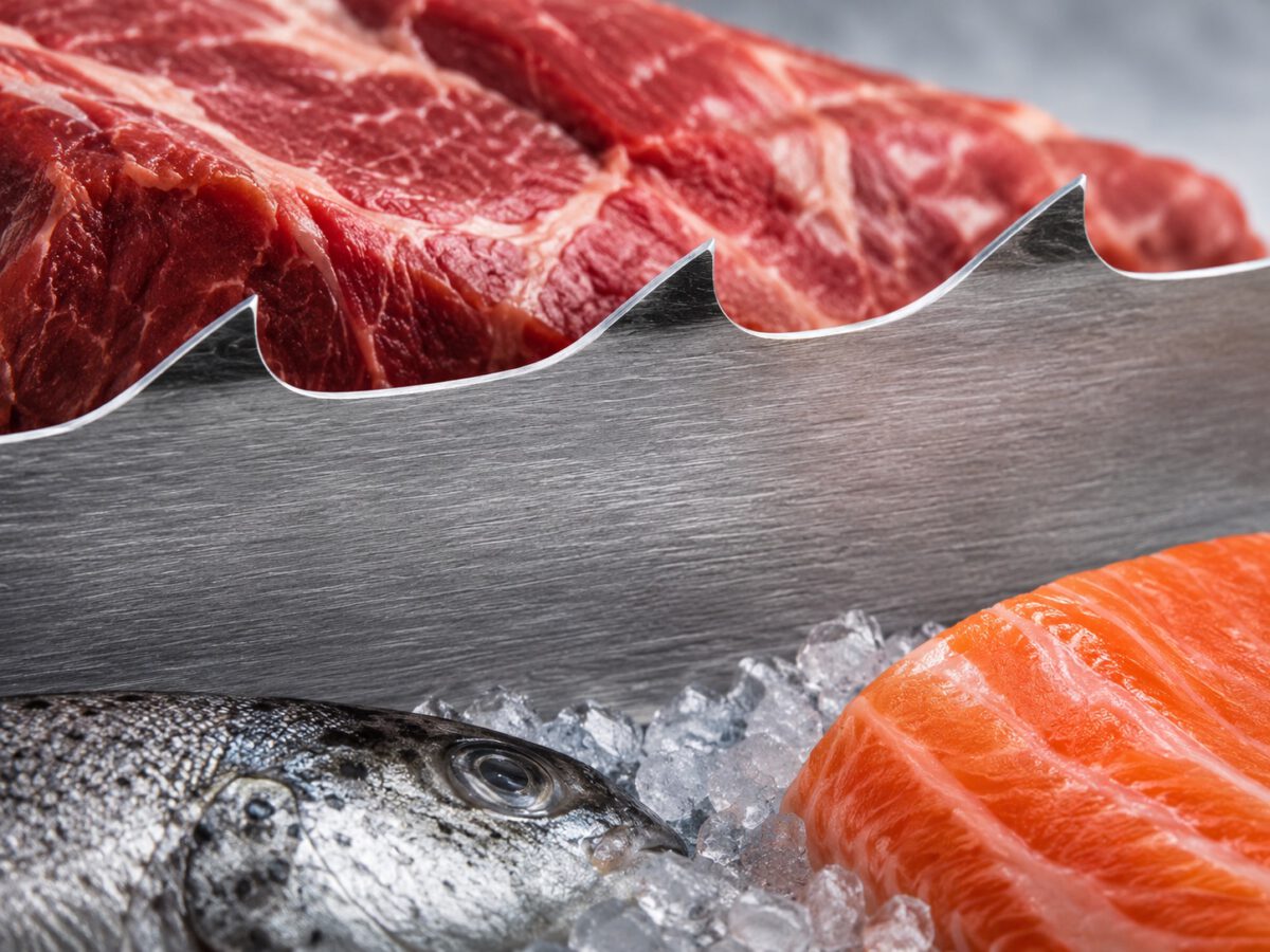Differences between bandsaws for meat and fish